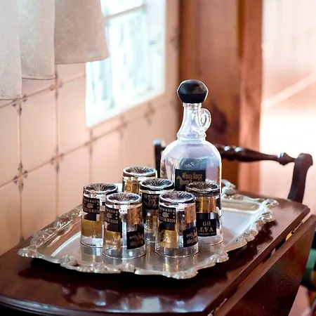 Vale Do Grou Natura Casa de Campo *