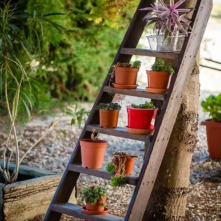 Vale Do Grou Natura Óbidos