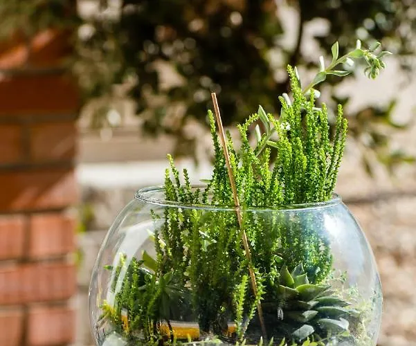 Casa de Campo Vale Do Grou Natura *