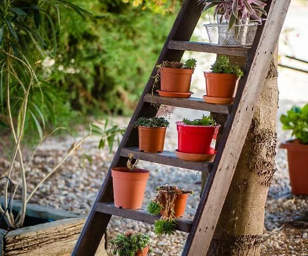 Vale Do Grou Natura Óbidos