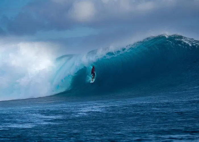 Vale Do Grou Natura Casa de Campo